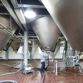 Bell-brewing